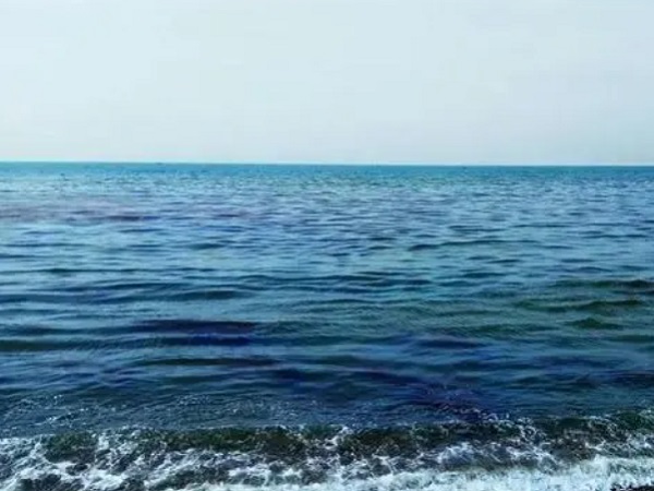 日本核廢水將排海-影響何以估量？